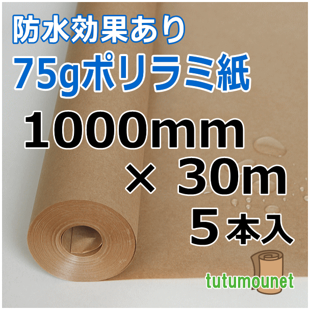  ロール巻紙｜75gポリラミ紙｜1000mm×30m巻 5本入