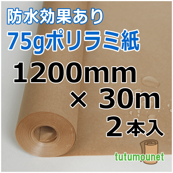  ロール巻紙｜75gポリラミ紙｜1200mm×30m巻 2本入