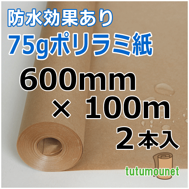  ロール巻紙｜75gポリラミ紙｜600mm×100m巻 2本入